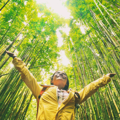 How to Travel Sustainably: Eco-Friendly Tips for Travelers