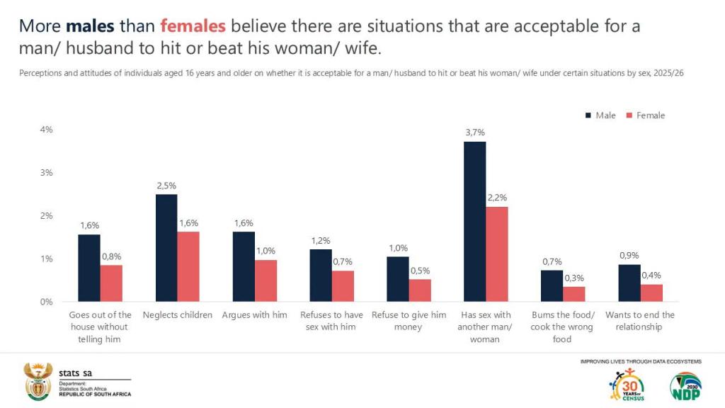 Stats SA Data Raises Eyebrows: More Men Say It Can Be ‘Acceptable’ for a Man to Hit His Wife — Including Over Money