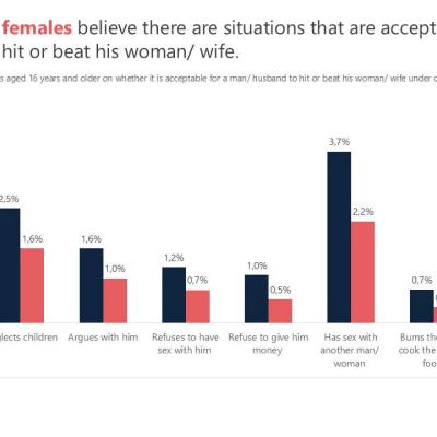 Stats SA Data Raises Eyebrows: More Men Say It Can Be ‘Acceptable’ for a Man to Hit His Wife — Including Over Money